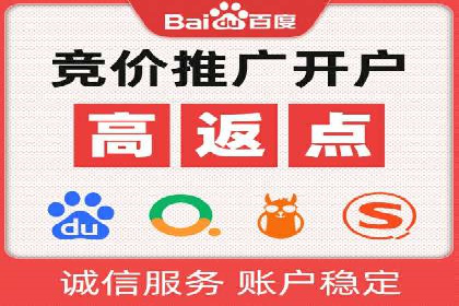 揭秘SEM竞价成功案例，助你提升ROI